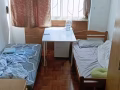 紫線文慶公寓普通房