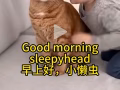 求晚上六点后的兼职
