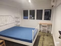 新加坡Tiong Bahru 绿线地铁站卧室出租