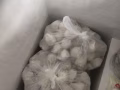 兼职员工
