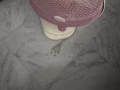 風扇出