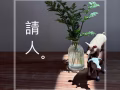 诚招新加坡国际学校适配儿童陪伴师！！！