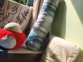 床位出租联系 97397725