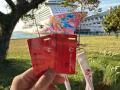 云顶梦邮轮🛳️豪华阳台房预定