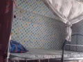 女搭房出租
