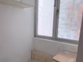 紫线花拉公园普通房随时入住
