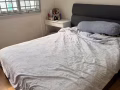 马林百列🈶2间大间普通房要出租