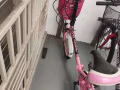 女士自行车 武吉巴督自取  送+10块