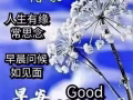 100% 总换商