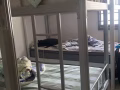 淡宾尼男床位,主人房女床位便宜出租