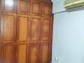 盛纲紫线大牌183B