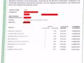 1 to 1 Chinese Tutor