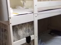 靠近港湾，中巴鲁vivo city女生床位本屋地址