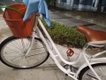 新车  新车