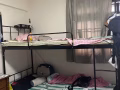 欲朗东德曼花园床位招人
