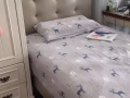 淡滨尼新房普通间出租