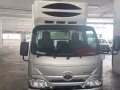 🚚 公司冷冻车 · 全岛配送（带司机）