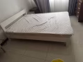 全套家具便宜卖