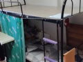 牛车水地铁站附近有女床位出租