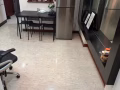 靠近淡滨尼地铁站有一普间出租