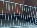 单人铁床出售