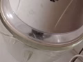闲置物品最后一天先到先得