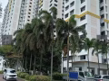 中峇鲁地铁站大华银行旁有双人间 只限男生抽烟打呼噜勿扰