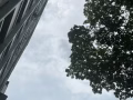 义顺。。 249 主人房，两人间，独立卫生间，升菘超市对面，有女床位，招一个女生，