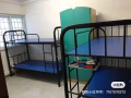 Kaki Bukit 住宿安排｜东部床位｜少量空位｜$400起