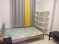 普通房$800