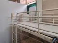出租男搭房  小房