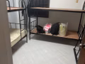 淡滨尼201男女床位本屋地址6月入住