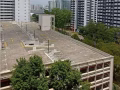 寻找一个女搭房, 盛港。3分钟走了到地铁,巴士总站, 6月初可入住。二人一间。