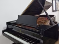 三角钢琴 Steinway Grand Piano B-211