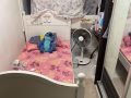 本屋地址，裕廊東, 卓源, 大牌278 女生小單人間 (Jurong East, Toh Guan, Blk 278)