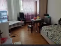 男搭房