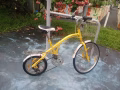 Aleoca 自行車（不是新車）