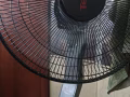 有闲置风扇十元转让