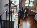 排屋房间出租