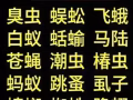 专药专杀