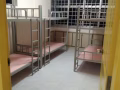 芽笼，麦波申，巴耶利巴，男女床位出租