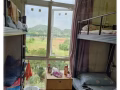 兀蘭公寓男搭房 $450 包水電網空調 報本屋合法地址！！