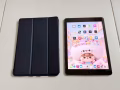 先来先拿，9.7寸 iPAD PRO，32G，WiFi版，电池🔋92%，适合上网，学习，刷视频，看电影，低价自取100