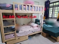 实龙岗北3，床位出租, 只限女白班，紫红线