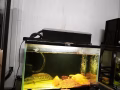 九层新鱼缸