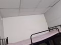 港湾男床位