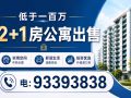 低于一百万 2+1房公寓出售 电 :93393838