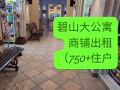 碧山大公寓店铺出租