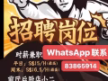 急招兼职全职！太二酸菜鱼全岛招聘！！一小时14起（最高16.5）！！