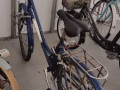 闲置自行车转让